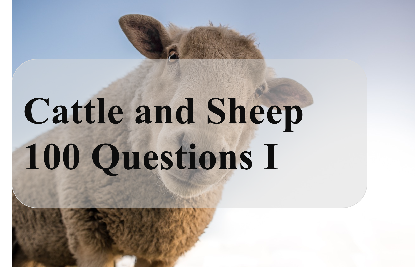 Cattle and Sheep 100 Questions  Ⅰ