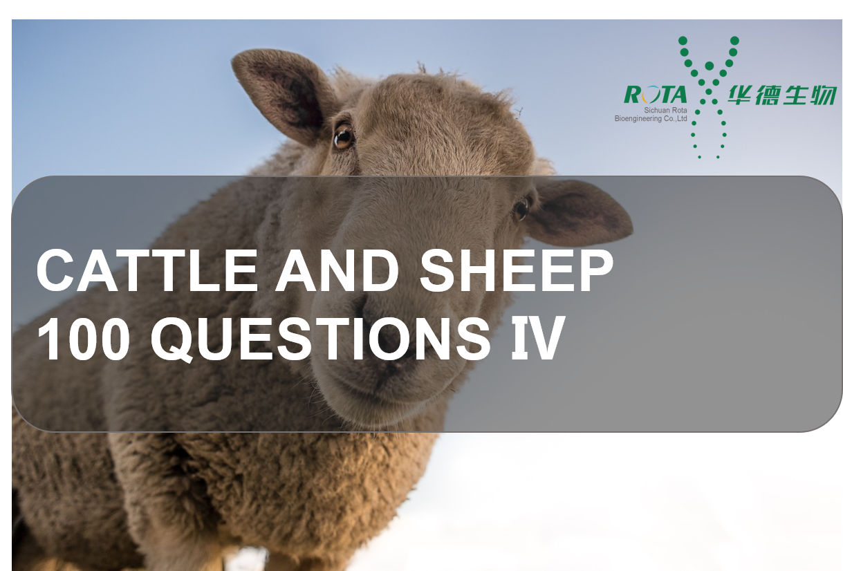 Cattle and Sheep 100 Questions Ⅳ