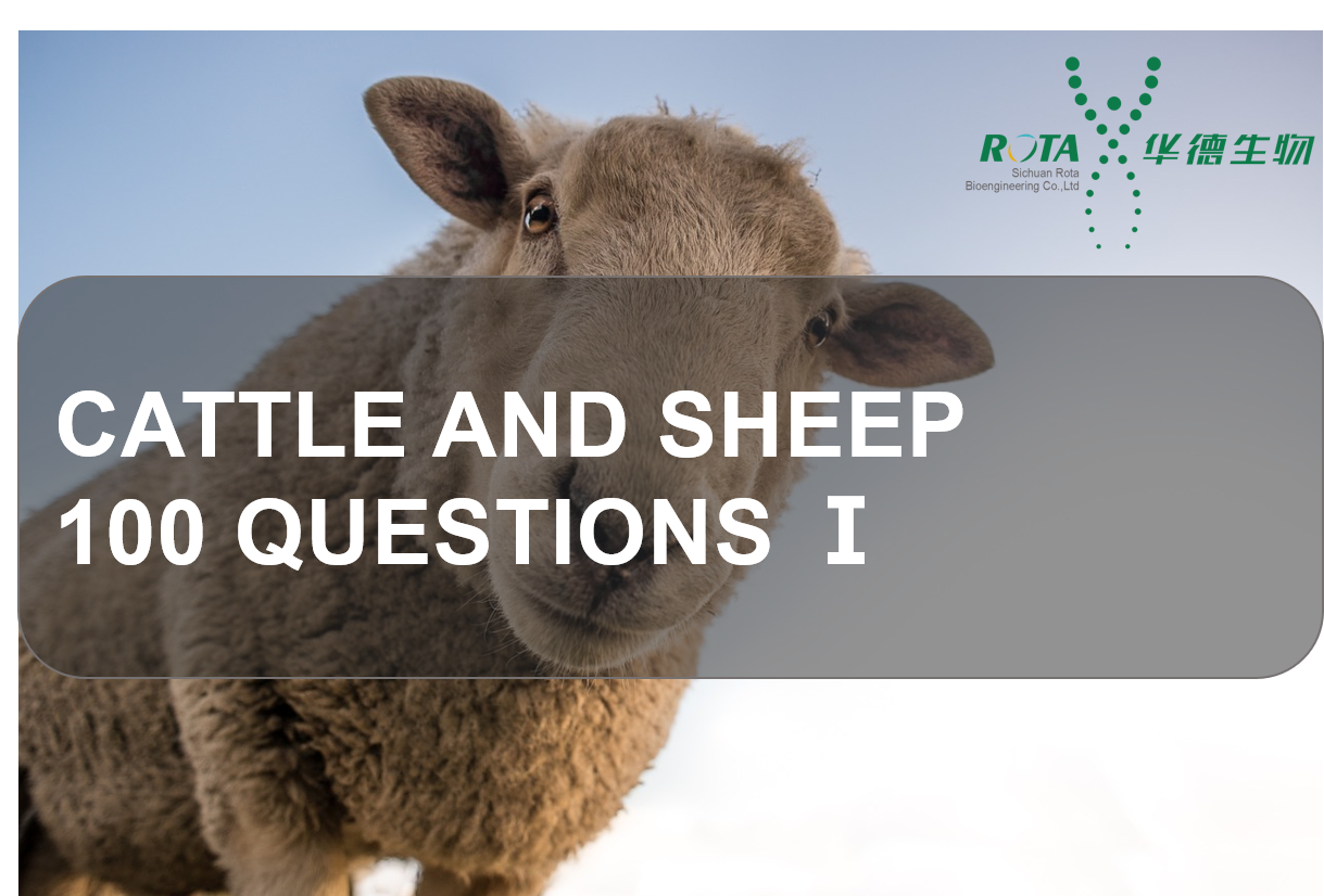 Cattle and Sheep 100 Questions  Ⅰ