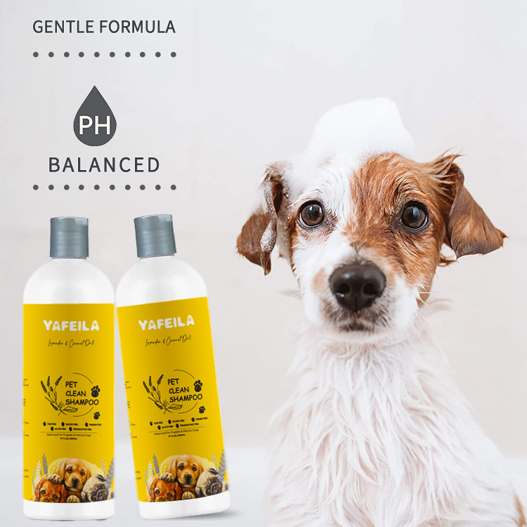 Oatmeal Coconut Dog Shampoo