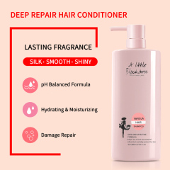 Silky Smooth Coconut Hair Care Conditioner