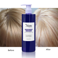 Organic Vegan Moisturizing Color Safe Depositing Purple Shampoo and Conditioner for Silver Blonde Bleached Hair