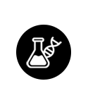 Strong R&D
