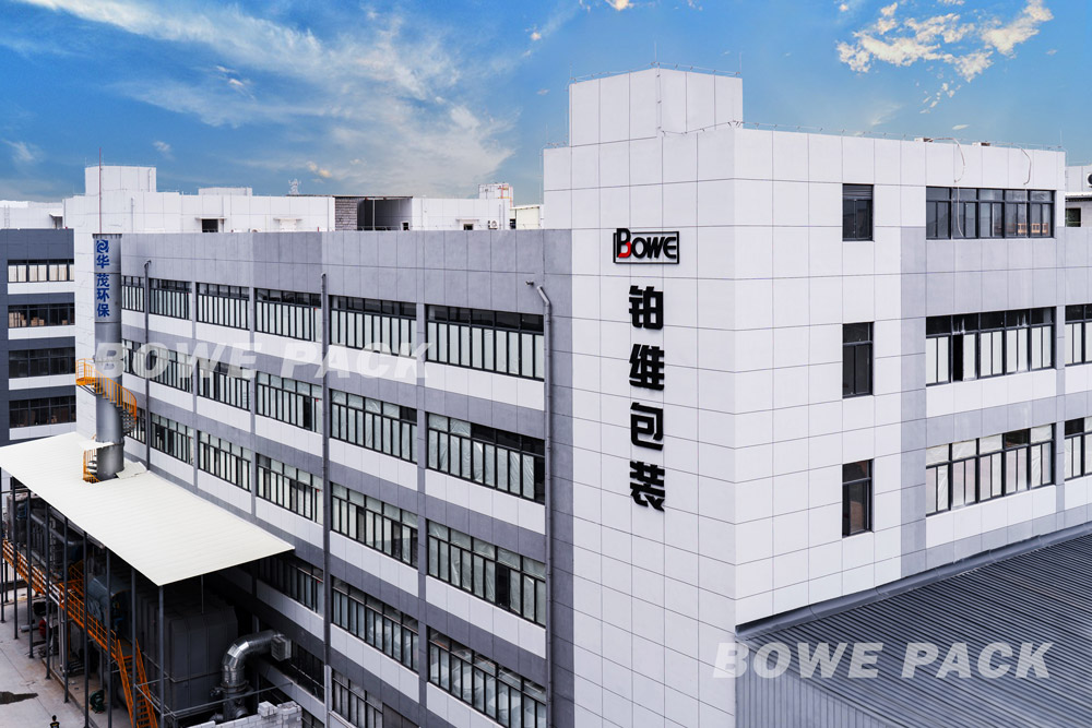 flexible packaging factory and plant of BOWE PACK