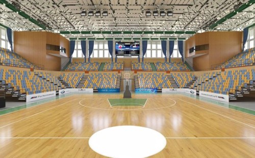 Elevate Your Sports Arena: Revolutionizing Acoustics for Beijing's Multifunctional Venue