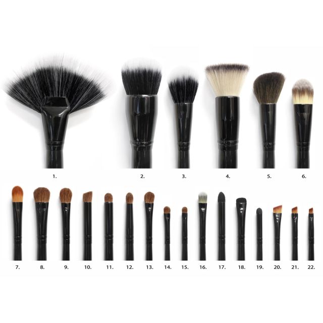 Coastal Scents 22 Piece Makeup Brush Set (BR-SET-011)