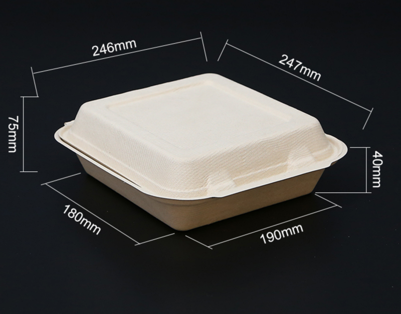 Biodegradable bagasse clamshells