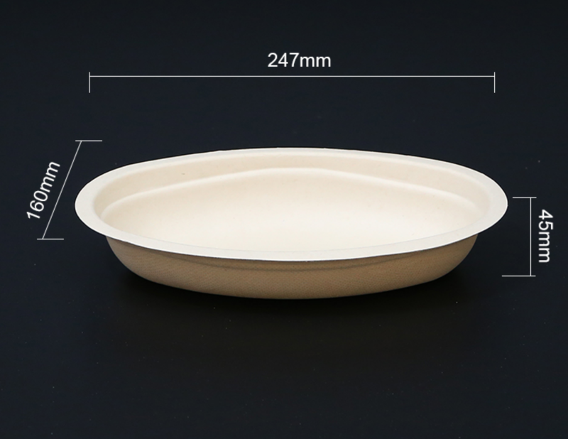 Biodegradable bagasse bowl
