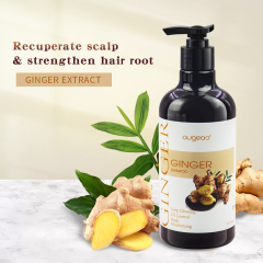 wholesale 500ml ginger hair shampoo