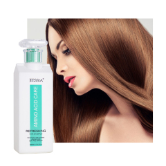 500ml wholesale amino acid hair shampoo and conditioner set