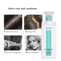 500ml wholesale amino acid hair shampoo and conditioner set