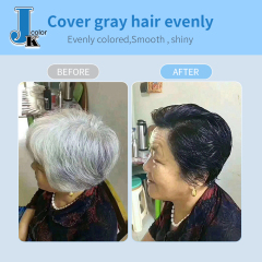 450ml*2 JK color hair dye cream hair oxidant salon use wholesale natural magic professional black hair color