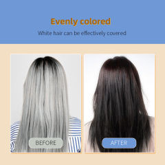 Wholesale Ammonia Free 100% Grey Covering permanent 3 in 1 herbal black hair dye shampoo