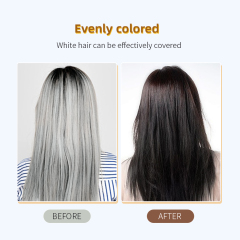 Jiessia herbal 100% Cover Grey hair permanent bubble herbal black hair dye shampoo