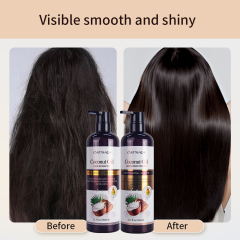 Private label wholesale repair damaged coconut oil hair care treatment shampoo and conditioner