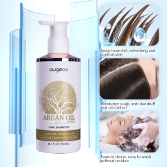 Augeas wholesale hair care treatment anti frizz argan oil scalp care hair shampoo and conditioner set
