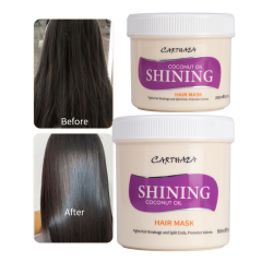 Wholesale hair care treatment anti frizz coconut repair damaged smooth hair mask