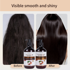 New Arrival High Quality 500ML Hair Care Treatment Sets Coconut Oil Hair Shampoo and Conditioner