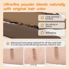 New Arrival Custom Logo Custom Logo Waterproof Hair Loss Concealer Shadow Thickening Powder Hairline Powder