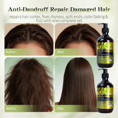 New Products Moisturizing Repair Damaged Hair Anti-Dandruff Anti-Frizz Refreshing Smoothing Hair Care Set 500ml Olive Oil Aloe Vera Shampoo