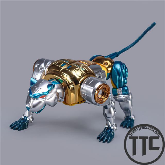 【PRE-ORDER】TransArtToys  BWM-03 Metal Panther Commander | Cheetor Fine Coating Reissue