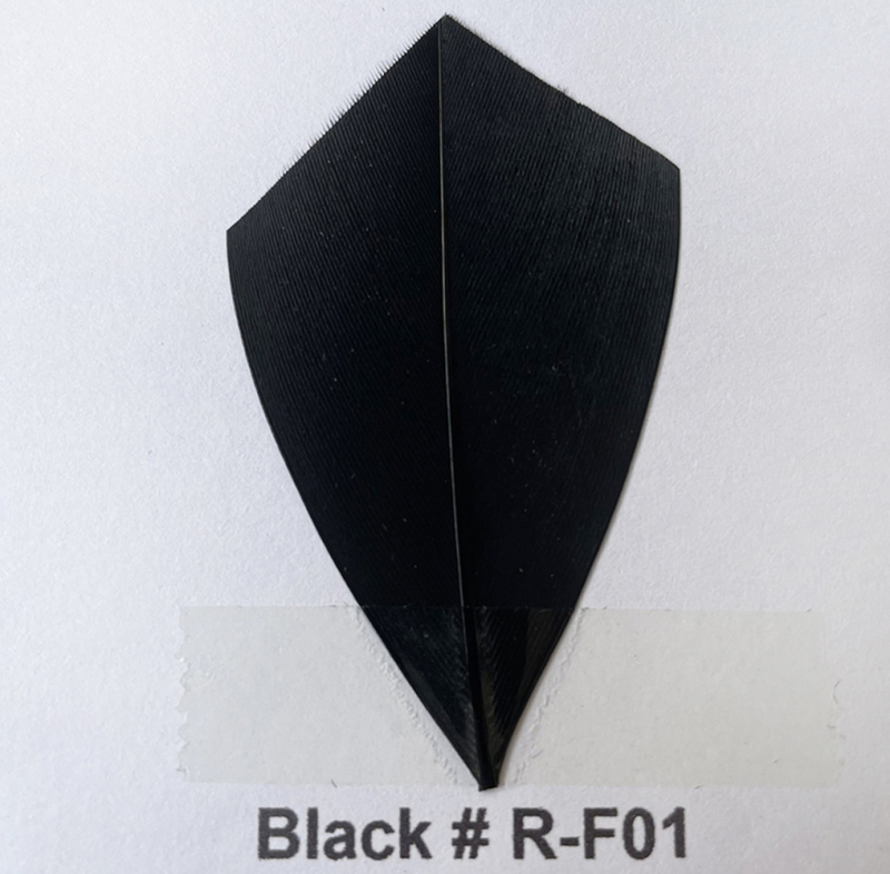 RL-C03CC Chevron Cut Coque Feather 10/12 25pcs/Packet