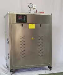 Steam Car Washing Machine Vehicle High Press Washer