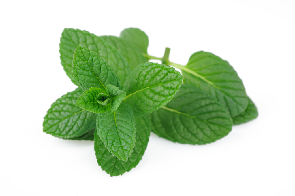 What's the difference between Mint and Peppermint?