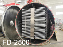 FD Industrial Freeze-Dryer