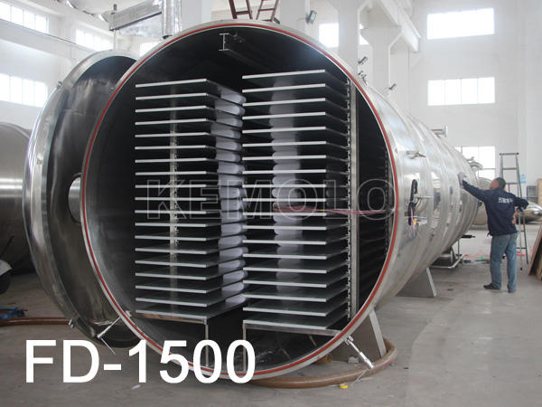 FD Industrial Freeze-Dryer