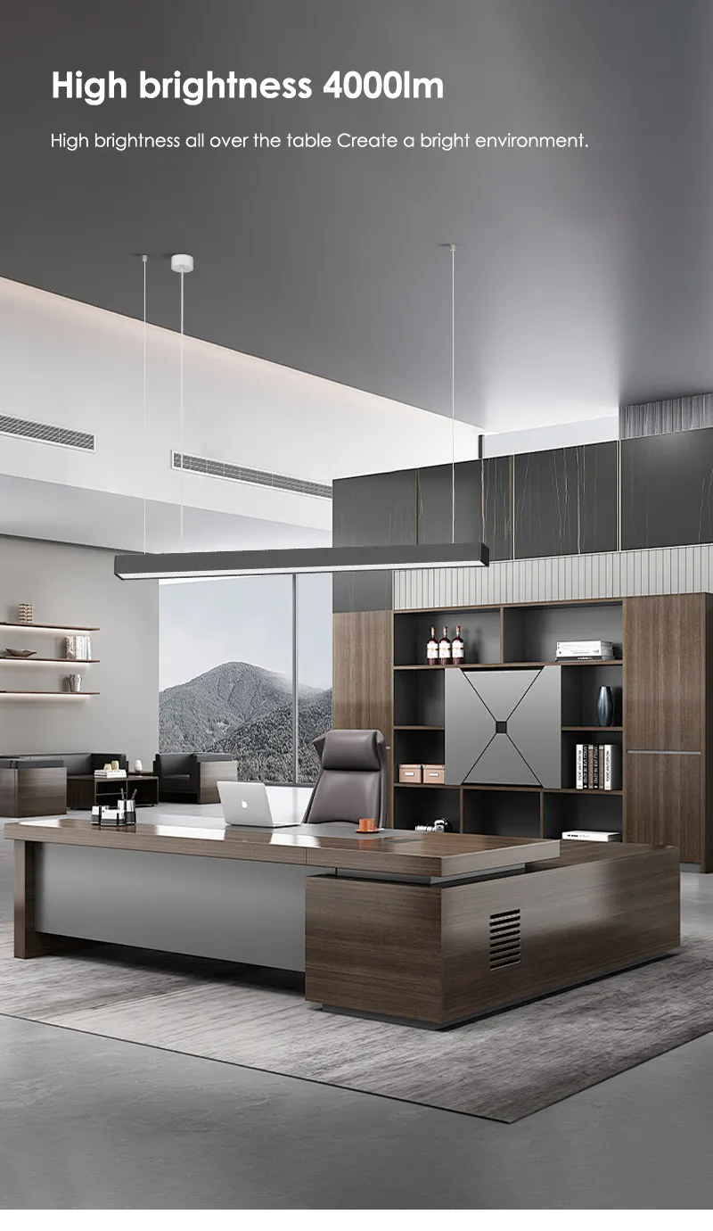 Linear LED pendant light above an office desk