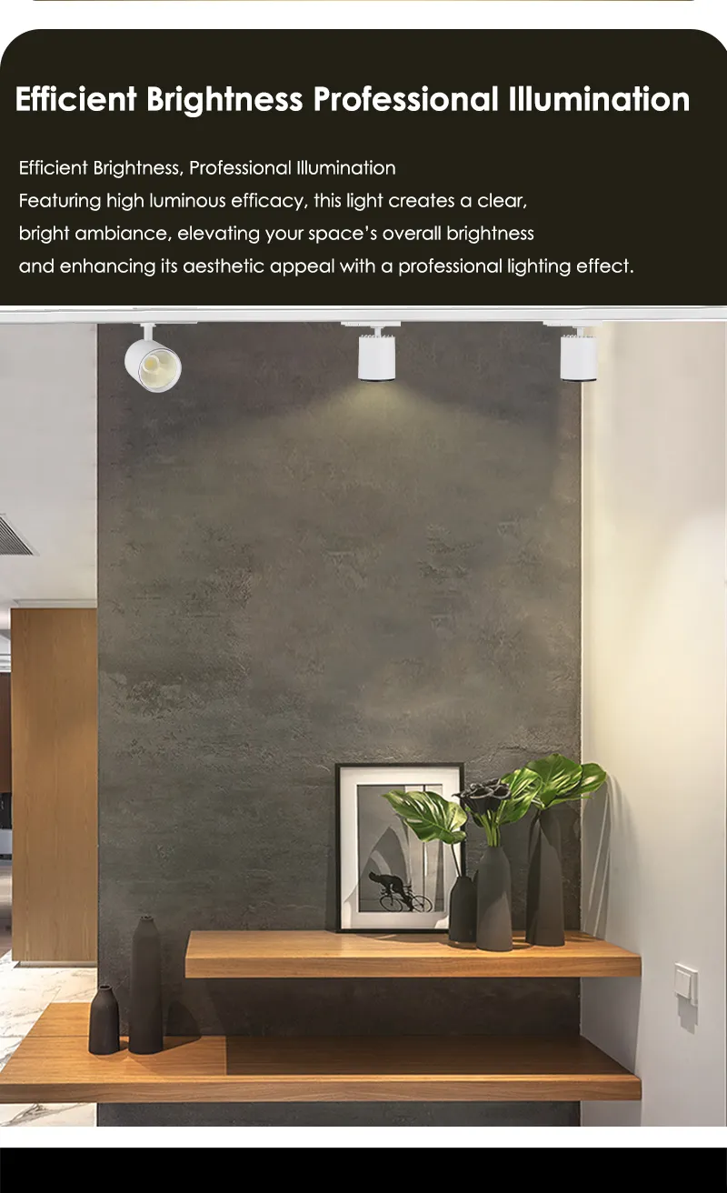 Track lighting fixtures lighting a modern interior display