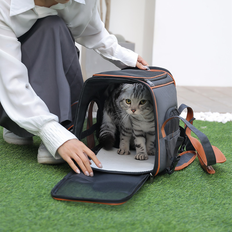 Products in stock new cat backpack portable foldable pet diaper bag breathable one shoulder portable cat bag large capacity wholesale