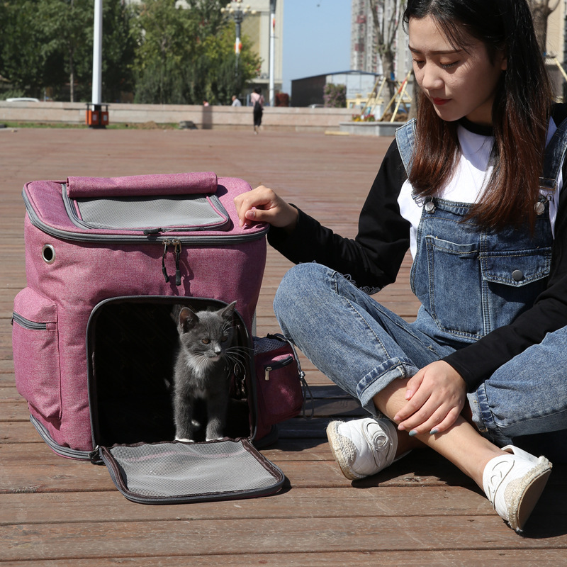 New pet bag outdoor portable breathable cat bag large capacity foldable backpack for pets Amazon hot
