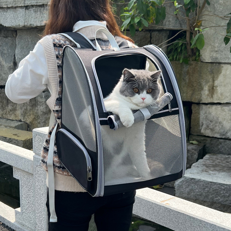 Spot cat backpack portable breathable backpack for going out fashion foldable cat bag large capacity wholesale