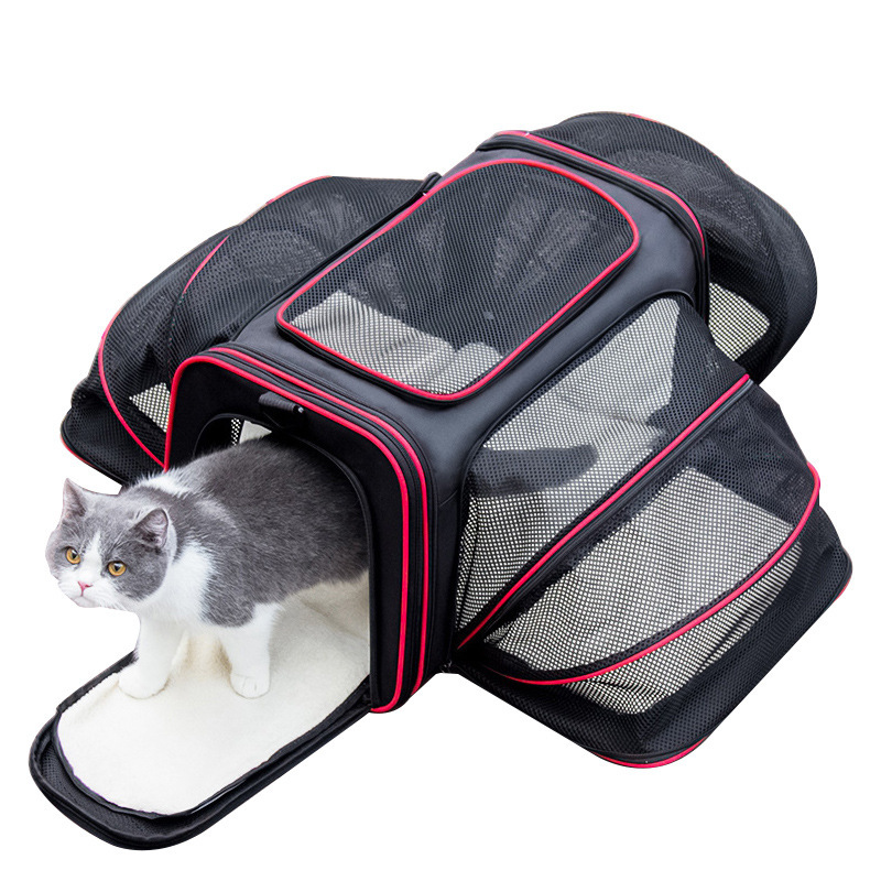Spot four-sided pet outdoor backpack breathable foldable cat backpack portable portable cat bag large capacity wholesale