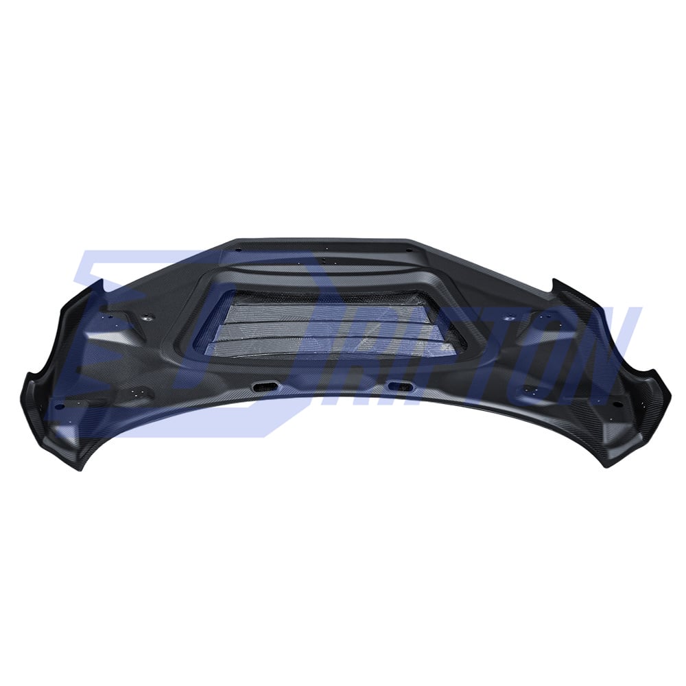 LMS GT4 Style Dry Carbon Fiber Hood For Audi R8 For Audi R8 2016-2024