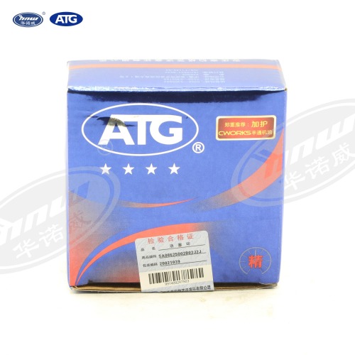 026198151D Piston Ring
