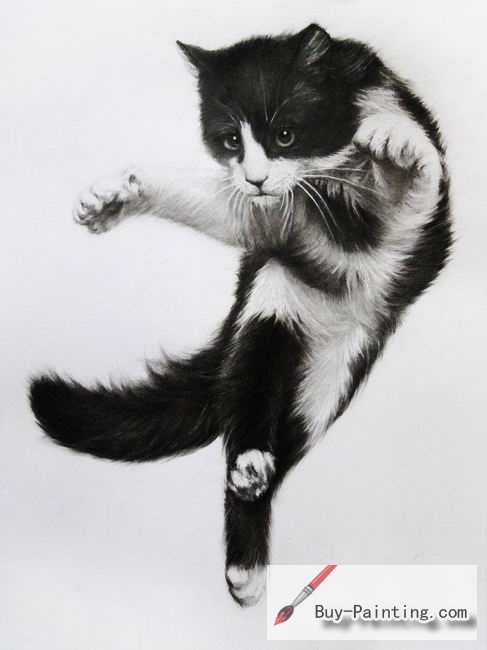 Custom Drawing-The cat dancing