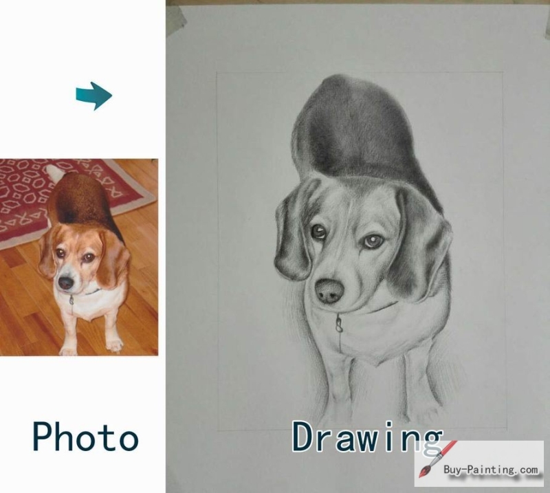 Custom Drawing-The lovely dog