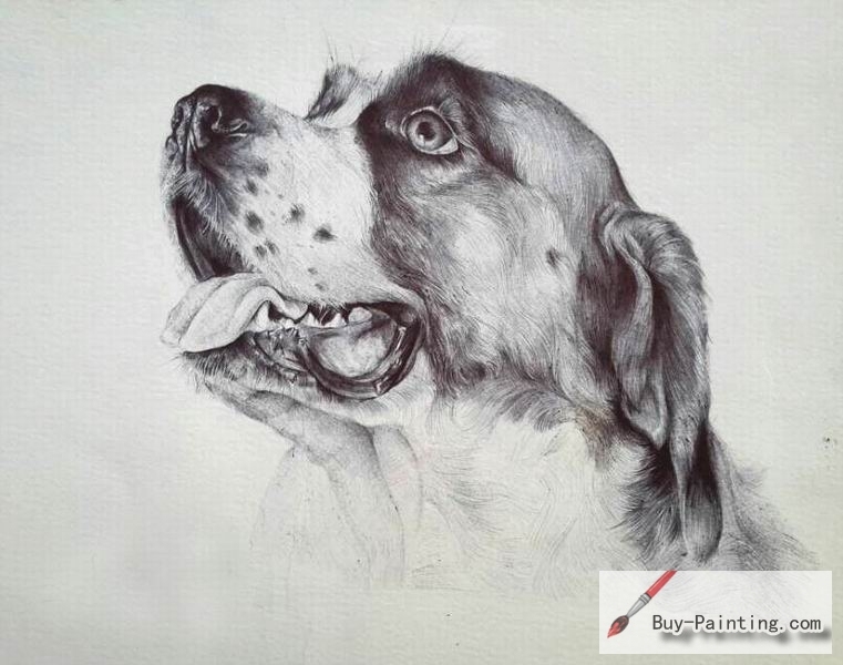 Custom Pencil Drawing-A thoughtful dog