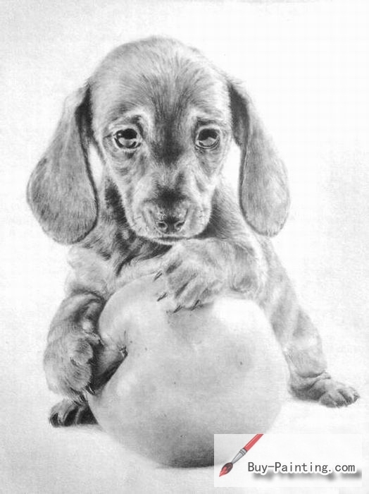 Custom Drawing-The dog playing the ball