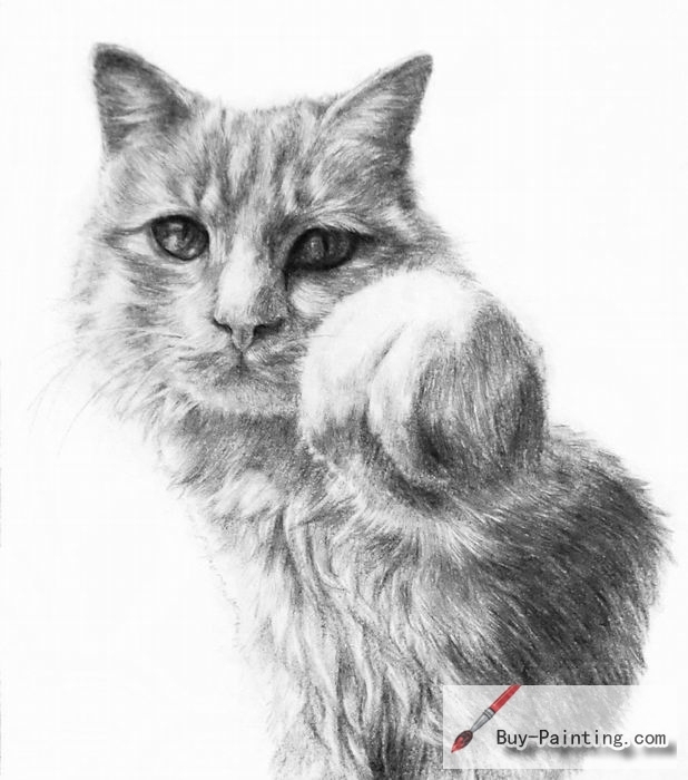 Custom Drawing-Standing cat
