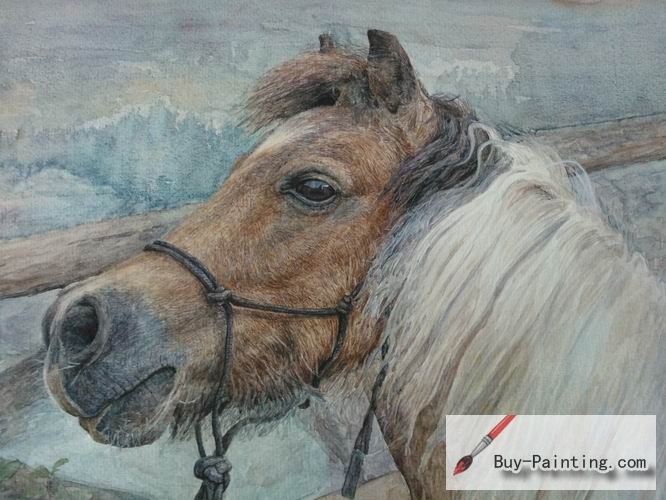 Watercolor painting-Original art poster-A horse