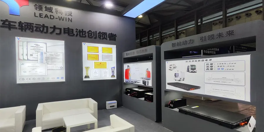 LEAD-WIN Battery
