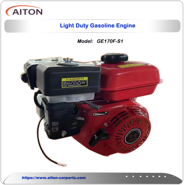 Light Duty Gasoline Engine