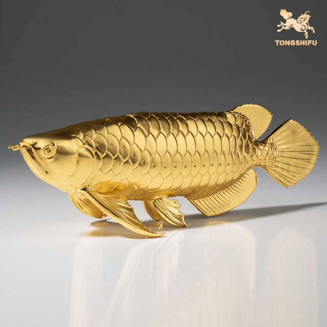 GOLD AROWANA