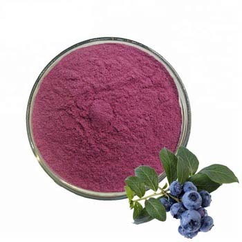 Blueberry Powder