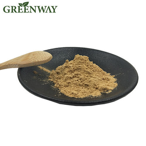 Sea Buckthorn Powder