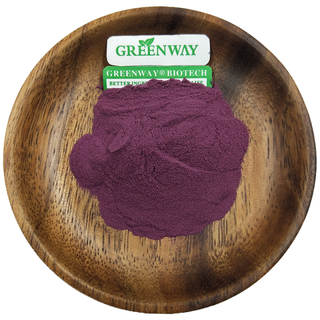 Elderberry Extract Powder